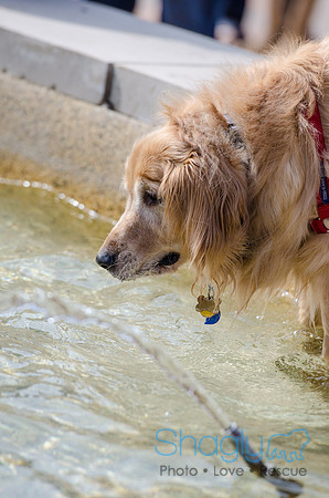 Easter Beg Hunt 2012-210