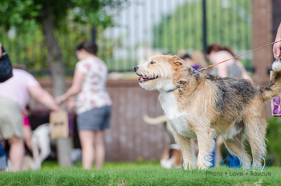 Easter Beg Hunt 2012-194