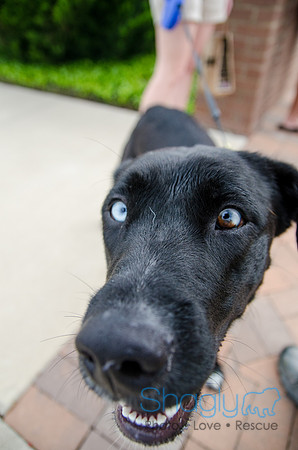 Easter Beg Hunt 2012-127