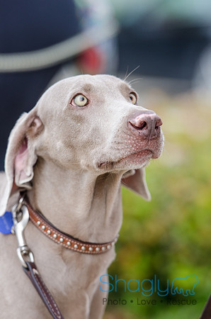 Easter Beg Hunt 2012-134