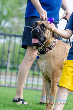 Easter Beg Hunt 2012-195