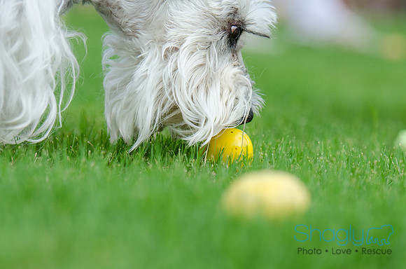 Easter Beg Hunt 2012-174