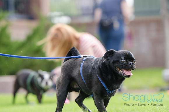 Easter Beg Hunt 2012-184