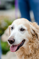 Easter Beg Hunt 2012-83
