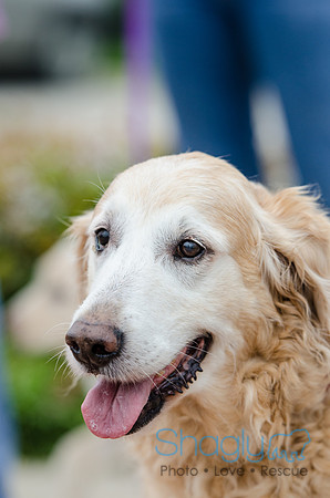 Easter Beg Hunt 2012-83