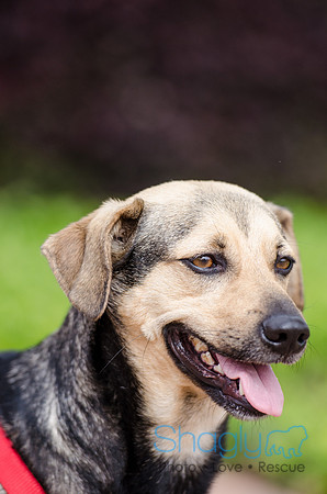 Easter Beg Hunt 2012-154