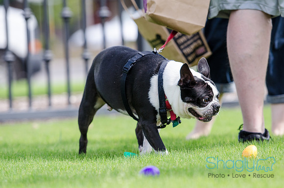 Easter Beg Hunt 2012-188