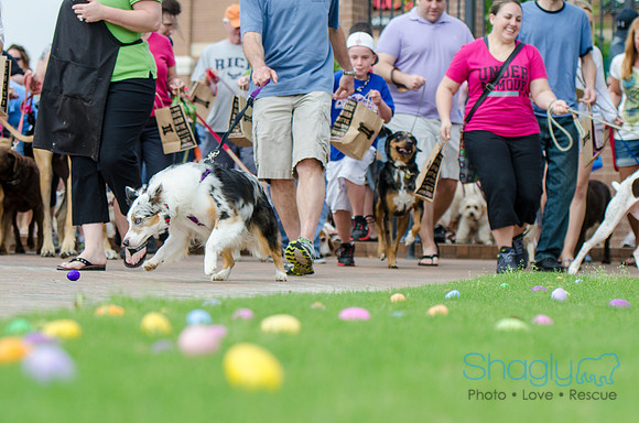 Easter Beg Hunt 2012-165