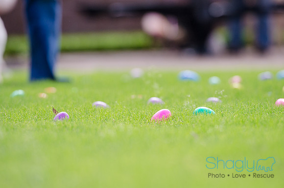 Easter Beg Hunt 2012-190