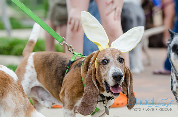 Easter Beg Hunt 2012-99