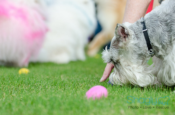 Easter Beg Hunt 2012-172