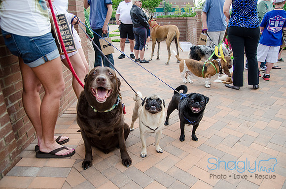 Easter Beg Hunt 2012-128
