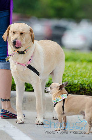 Easter Beg Hunt 2012-149