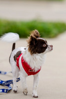 Easter Beg Hunt 2012-79