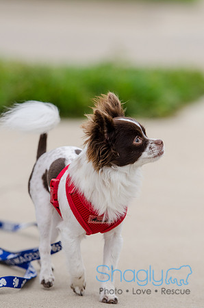 Easter Beg Hunt 2012-79