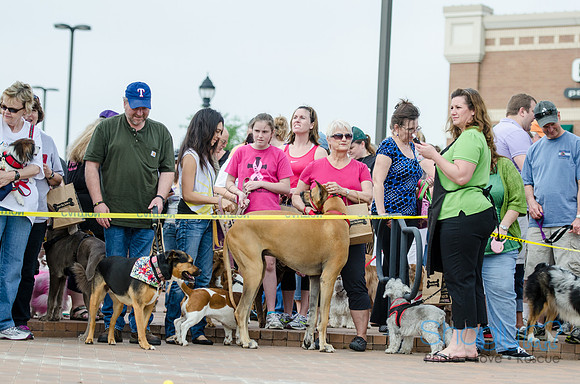 Easter Beg Hunt 2012-163