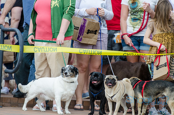 Easter Beg Hunt 2012-161