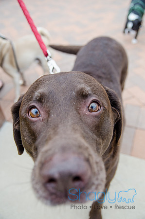 Easter Beg Hunt 2012-112