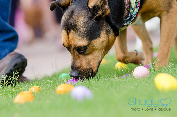 Easter Beg Hunt 2012-168