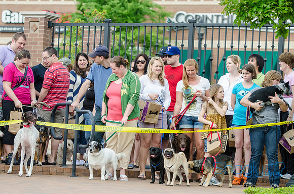 Easter Beg Hunt 2012-160
