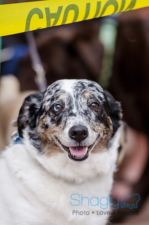 Easter Beg Hunt 2012-152