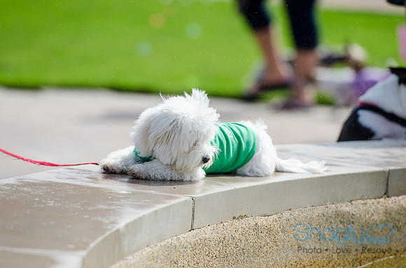 Easter Beg Hunt 2012-208