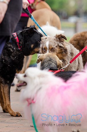 Easter Beg Hunt 2012-138