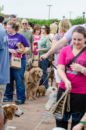 Easter Beg Hunt 2012-156
