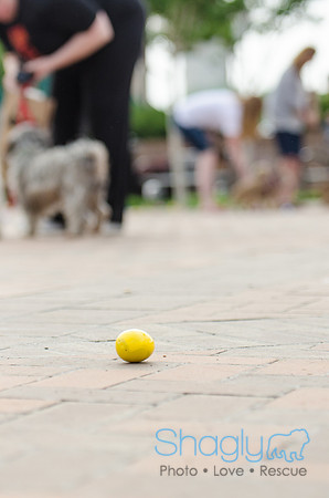 Easter Beg Hunt 2012-170