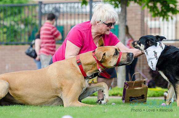 Easter Beg Hunt 2012-176