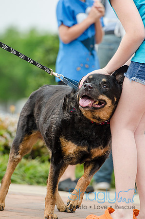 Easter Beg Hunt 2012-92