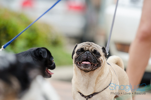 Easter Beg Hunt 2012-89