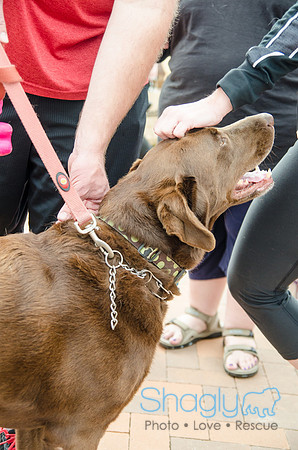 Easter Beg Hunt 2012-124
