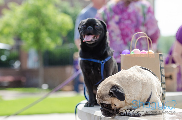 Easter Beg Hunt 2012-224