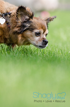 Easter Beg Hunt 2012-192