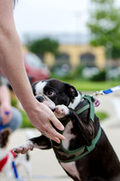 Easter Beg Hunt 2012-74
