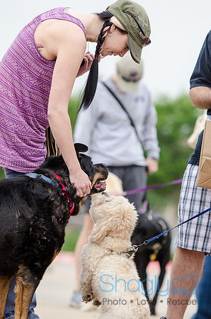 Easter Beg Hunt 2012-90