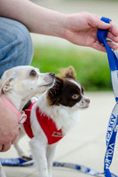 Easter Beg Hunt 2012-78