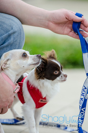 Easter Beg Hunt 2012-78