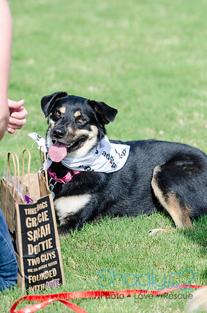 Easter Beg Hunt 2012-221