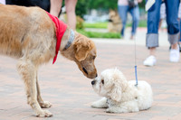 Easter Beg Hunt 2012-86