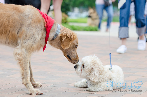 Easter Beg Hunt 2012-86