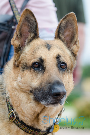 Easter Beg Hunt 2012-91