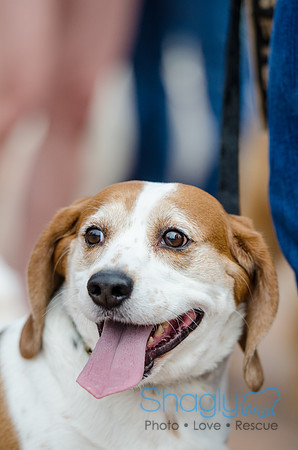 Easter Beg Hunt 2012-143