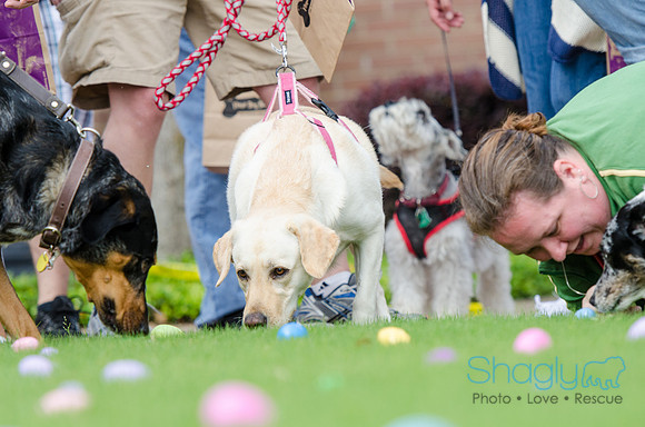 Easter Beg Hunt 2012-167