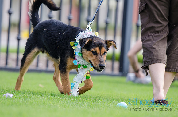 Easter Beg Hunt 2012-186