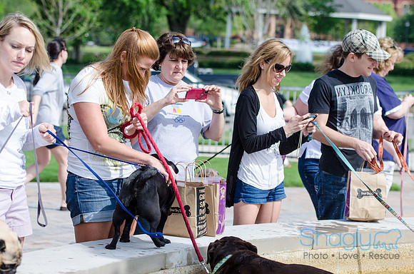 Easter Beg Hunt 2012-204