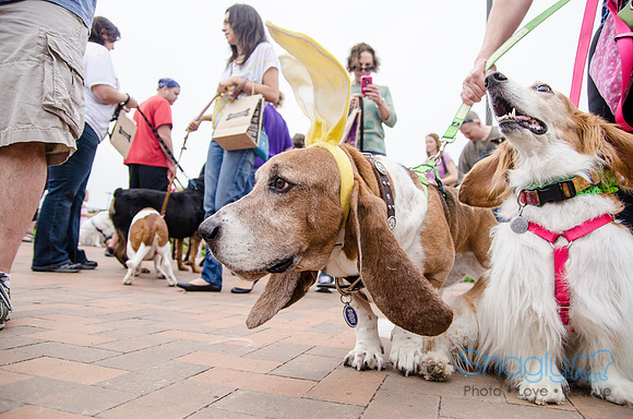 Easter Beg Hunt 2012-122