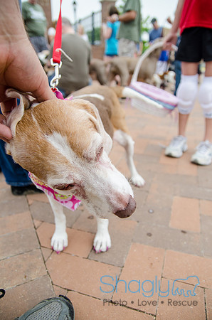 Easter Beg Hunt 2012-120