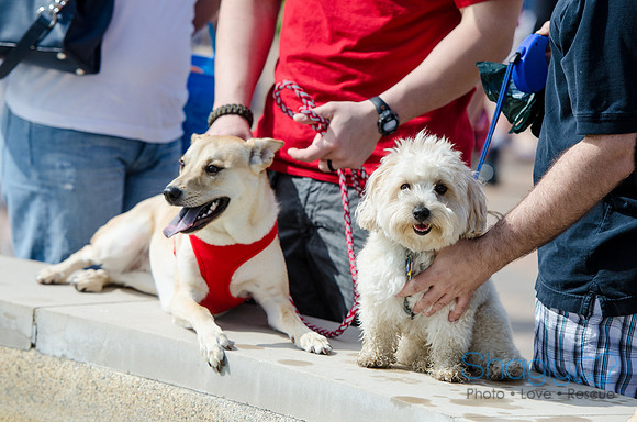 Easter Beg Hunt 2012-214